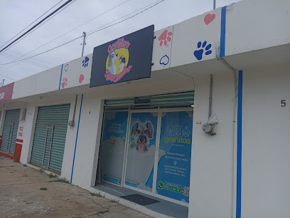 Spa Canino Greñitas
