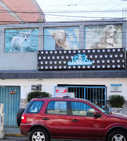 Spa Caninos Y Mascotas