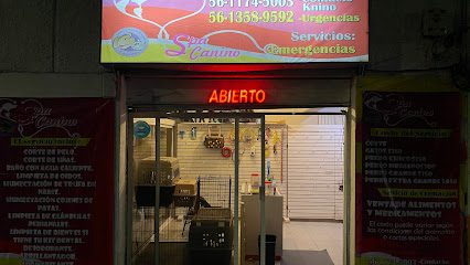 Spa Contacto Knino Y Algo Más