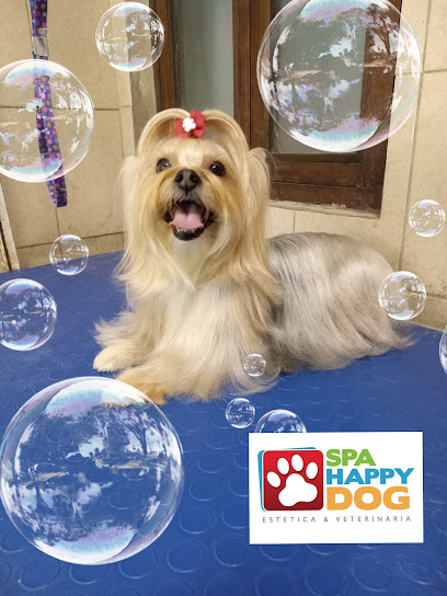 Spa Happy Dog