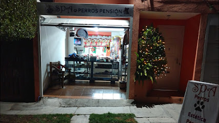 Negocio Spa Perros