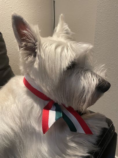 Negocio Spa Perros Consentidos