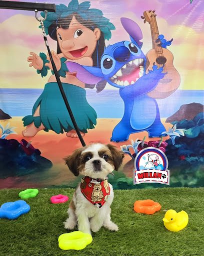 Spa Y Estetica Canina Millan