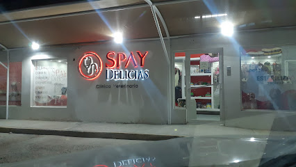 Negocio Spay Delicias Clinica Veterinaria