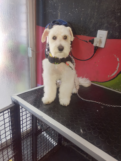 Súper Estética Canina Pet Shop