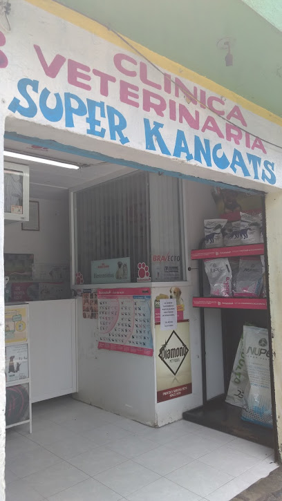 Negocio Super Kancats