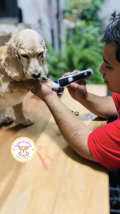 Negocio Superpett Spa Canino