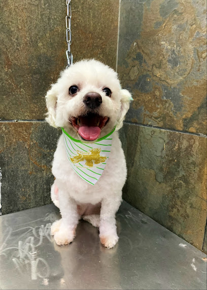 Sweet Spa (Servicio De Spa Y Estética Canina)