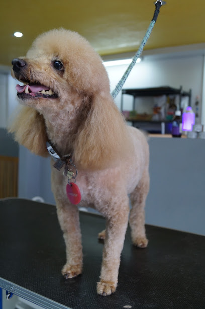 Taylor&Apos;S Pet Services Lindavista