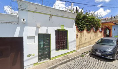 Terriers Estetica Canina Profesional