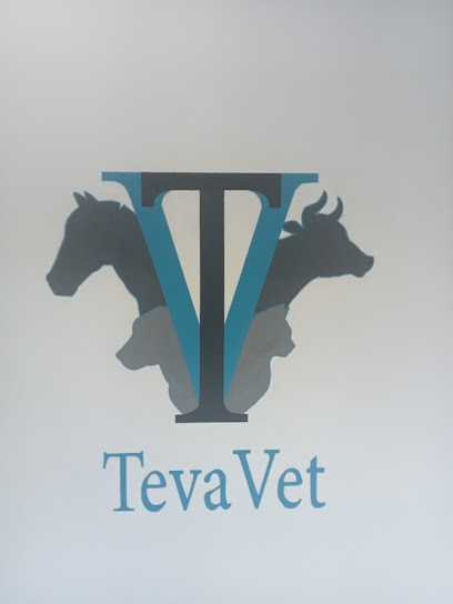 Negocio Teva Vet