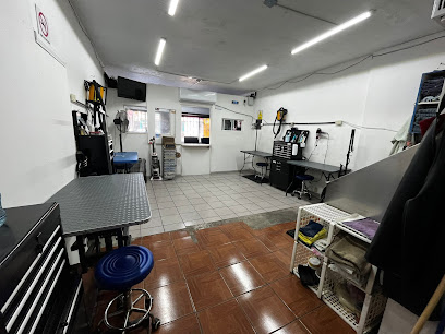 The Dog House Grooming Studio