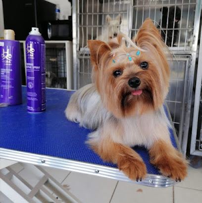 The Dogfather