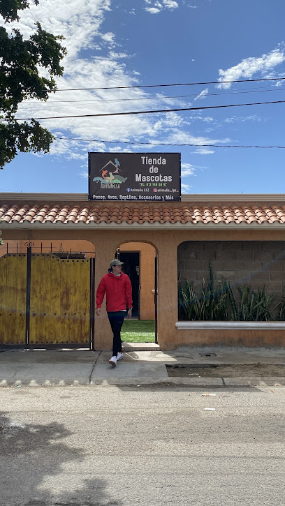 Tienda De Mascotas Animalia