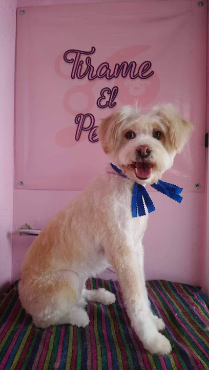Tirame El Perro Estética Canina