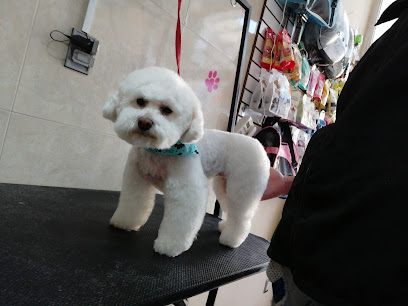 Tofi Estetica Canina