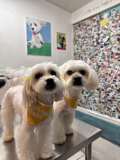 Vet Friendly - Veterinaria Mexicali