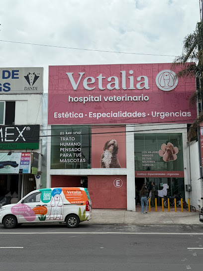 Vetalia Coapa - Hospital Veterinario 24 Horas
