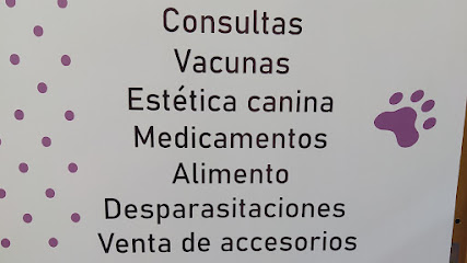 Vetcanycat