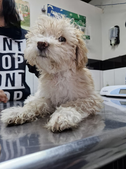 Vetco Servicios Veterinarios Especializados