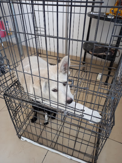 Negocio Veterinaria 24Hrs