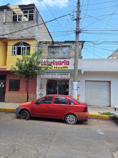 Veterinaria Animal Health Ocotlan