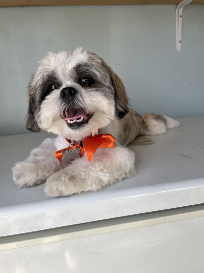 Veterinaria Baja Jr