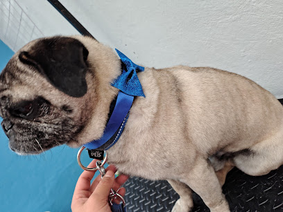 Veterinaria Baza