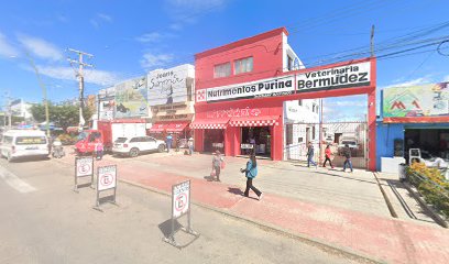 Veterinaria Bermudez