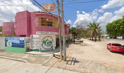 Veterinaria Buenavista