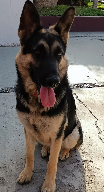 Negocio Veterinaria Can Can