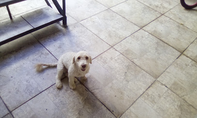 Negocio Veterinaria Canino Real