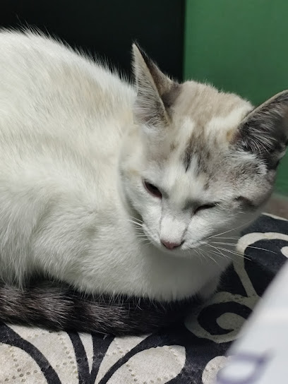 Veterinaria Cem Anáhuac