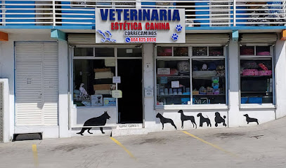 Veterinaria Correcaminos Guaycura