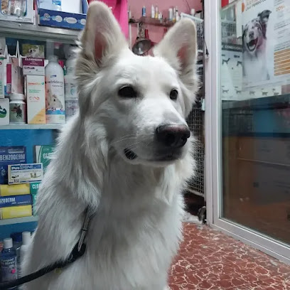 Veterinaria Del Parque