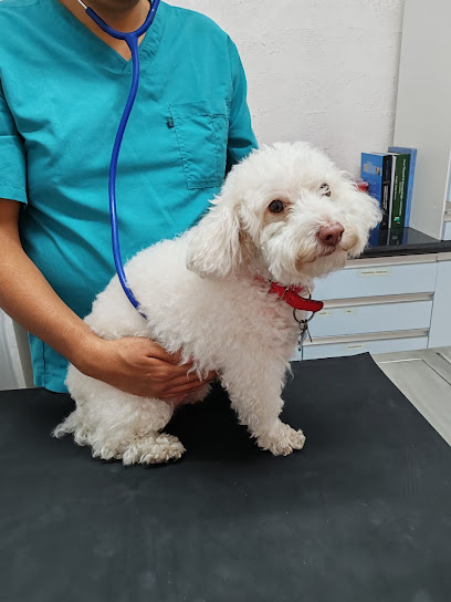Veterinaria Doggyland San Ángel