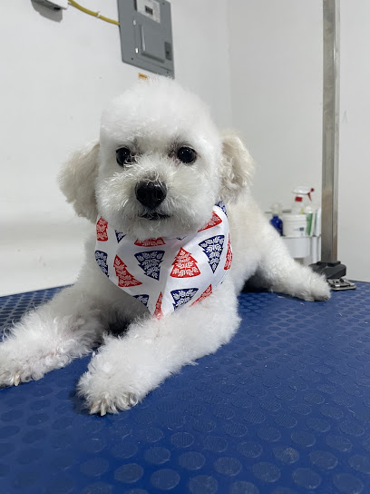Veterinaria Dogtor Ca
