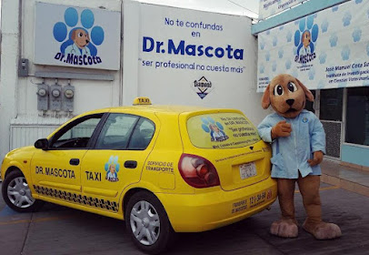 Veterinaria Dr Mascota