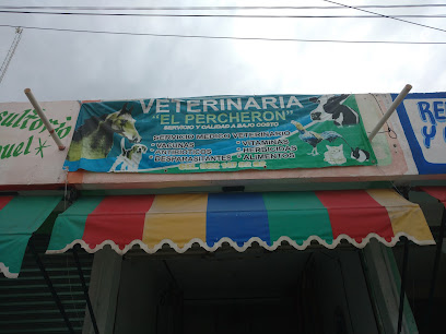 Veterinaria E Percherón