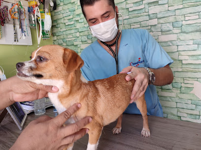 Veterinaria El Percherón