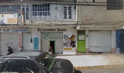 Negocio Veterinaria El Xocoyotl