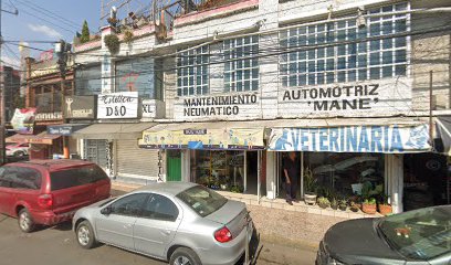 Veterinaria Estetica Canina