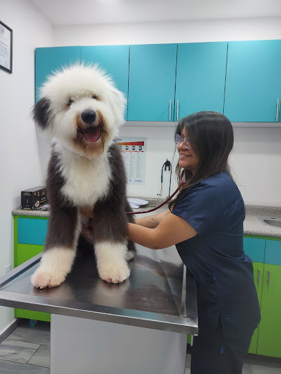 Veterinaria, Estética, Hotel &Amp; Guardería Vezoo.