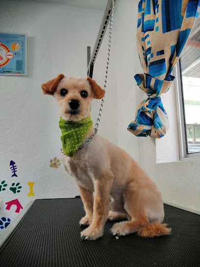 Negocio Veterinaria Hospivet