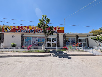 Veterinaria La Casa De Las Mascotas-Saucillo
