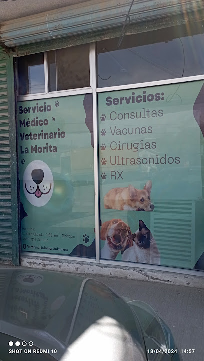 Veterinaria La Morita
