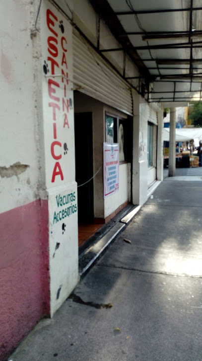 Veterinaria Laguna