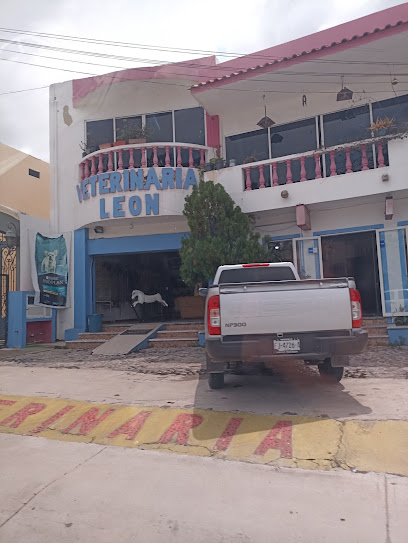 Veterinaria León