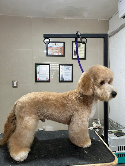 Negocio Veterinaria Loftycan