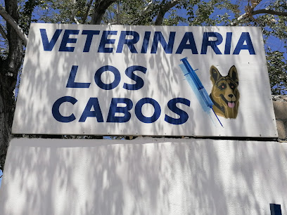 Negocio Veterinaria Los Cabos